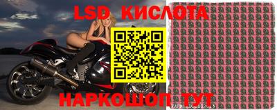 спиды Берёзовский