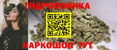 Альфа ПВП Гусев