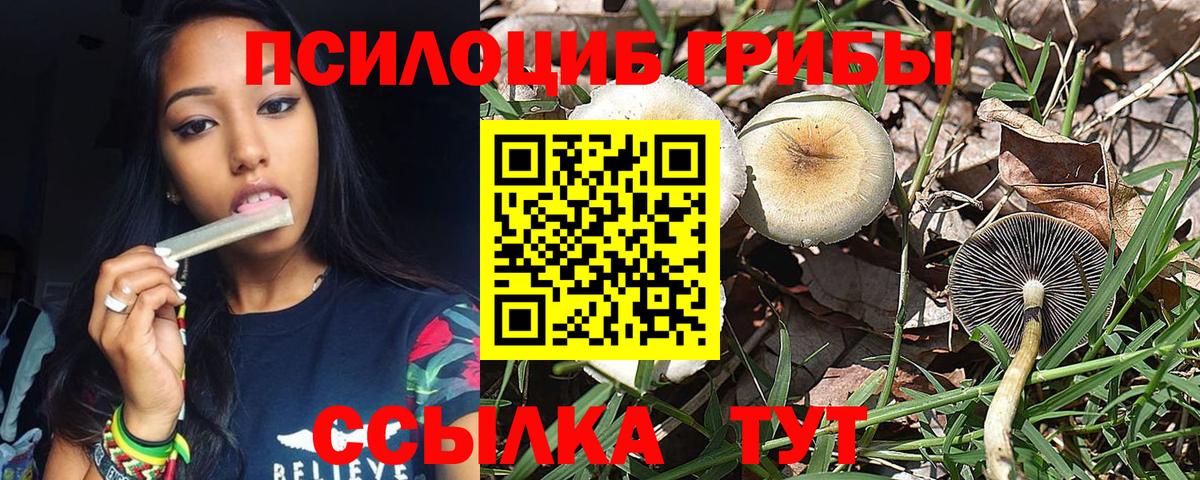 Псилоцибиновые грибы GOLDEN TEACHER Ирбит