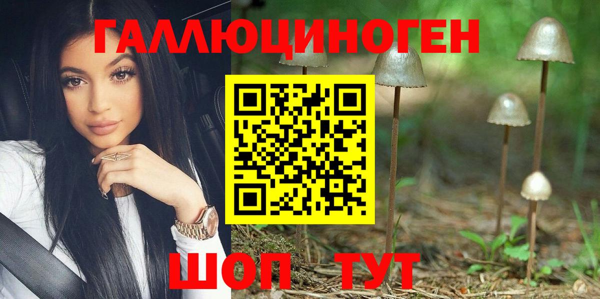 Псилоцибиновые грибы мицелий Ирбит