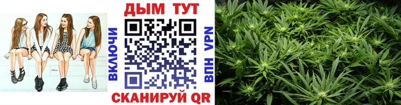 магазин продажи Ирбит omg маркетплейс Бошки марихуана семена